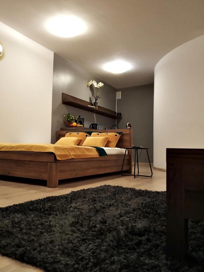 Downtown Studio Appartement Zielona Góra Buitenkant foto